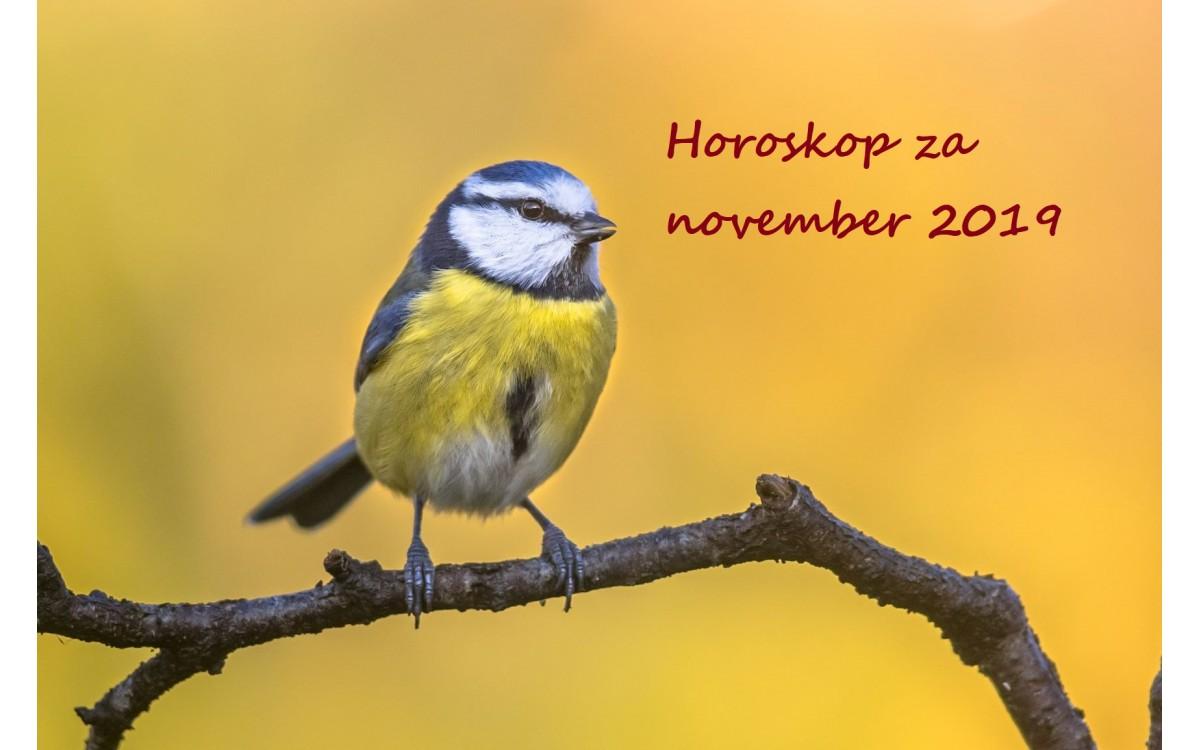 Horoskop za november 2019