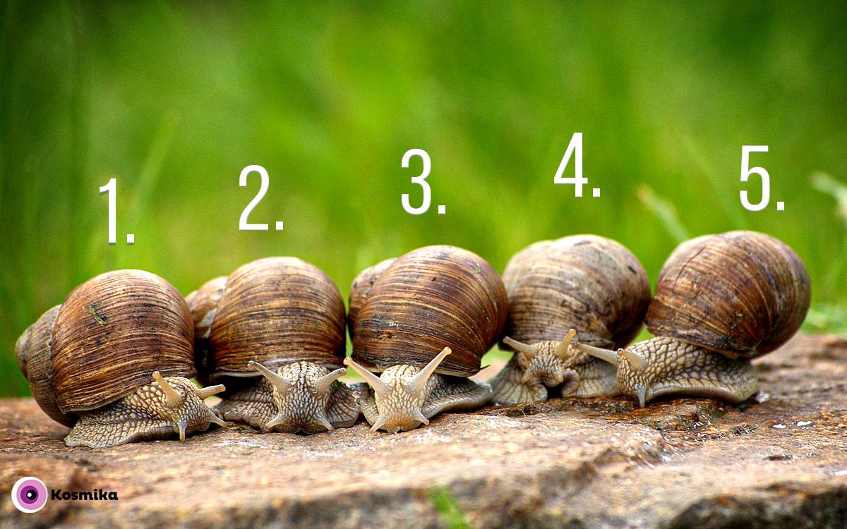 Kako se bo razpletlo