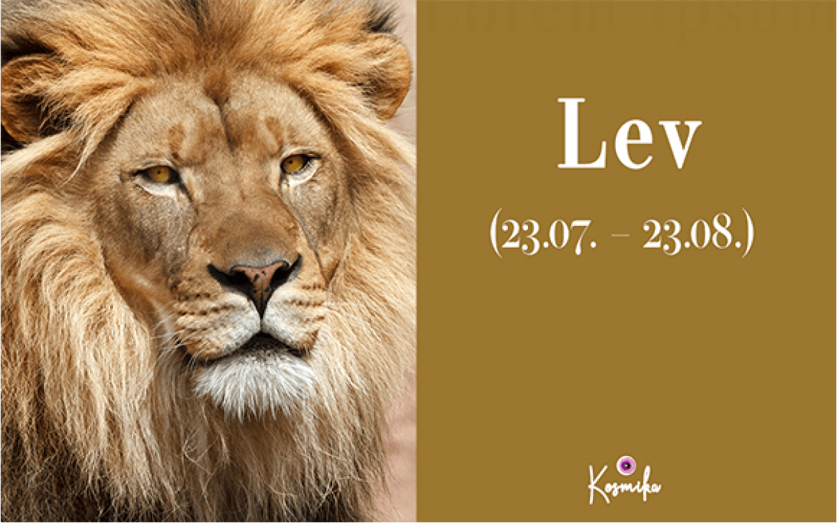 Vse, kar moraš vedeti o Levu