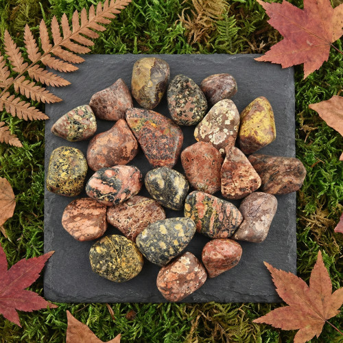 Kristal Leopard jaspis Kristal Leopard jaspis